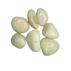 Elegant Black and White Natural Pebbles for Aquariums and Crafts - Image 2