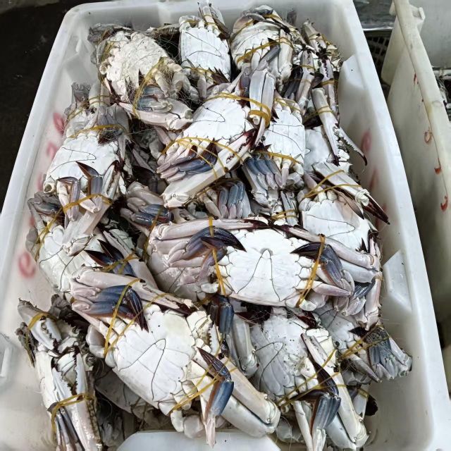 Frozen Crab High Quality Fresh Seafood Suitable for Food Distributors Restaurants Supermarkets and Export Markets - Image 1