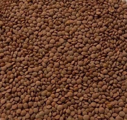 Red Lentils (Whole Nipper/Hallmark) - Image 1