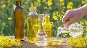 canola oil - Image 3
