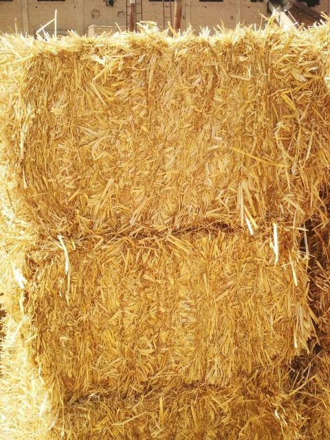 Livestock, Meat, Maize (Corn) / Corn Silage, Lucerne (Alfalfa), Wheat Bran, Wheat Straw, Rice Straw, Rice Husk, Sugar C - Image 3