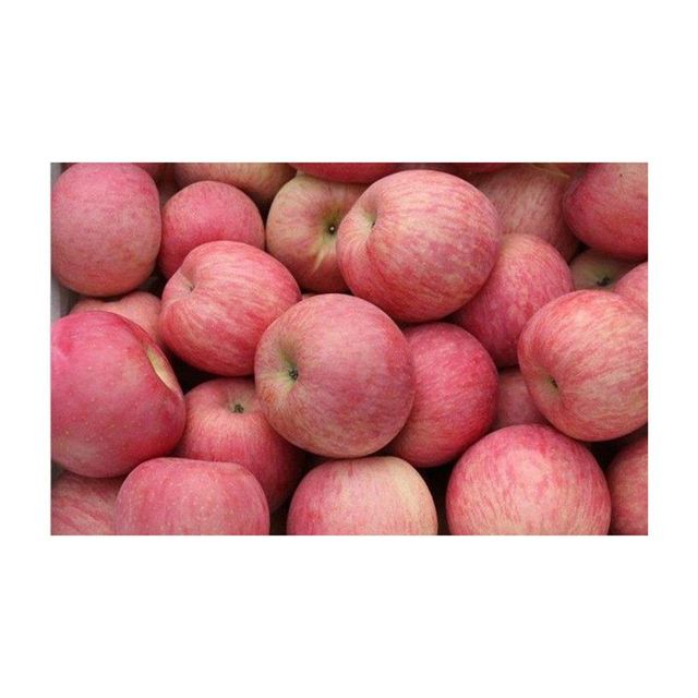 Red apples wholesale dealer bulk supply fast delivery at competitive discount price - Image 4