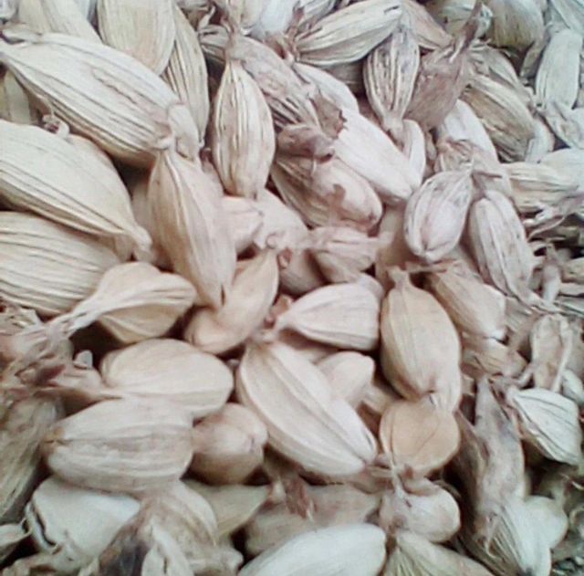 Pigeon Peas, Soya Beans, and Sugar Beans And spices such as Cinnamon, Cardamom, Cloves,coriander,cumin - Image 3