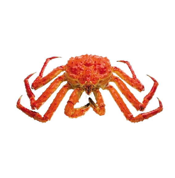 Best Price Jumbo Red King Crab Legs | Frozen Fresh King Crabs Available - Image 4