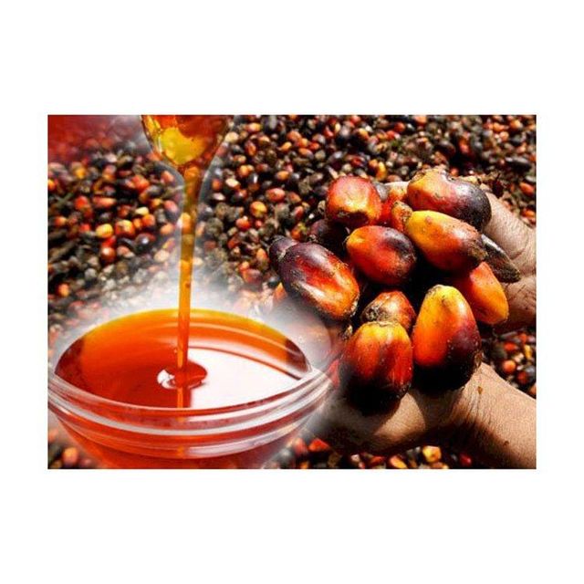 PALM KERNEL OIL WHOLESALE BUY RED PALM OIL AND REFINED PALM OIL - Image 3