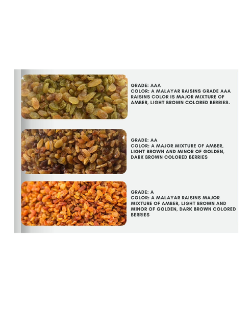 Malayar Raisins, Malayar Raisins bulk supplier from India Texture Soft Color Natural Shelf Life 2 Years Fat 0.5 G Per 100 G - Image 3