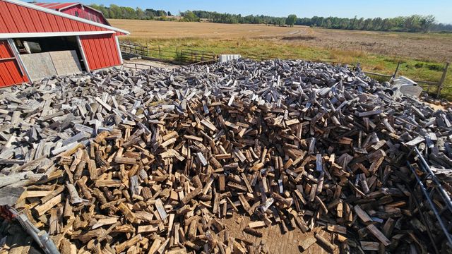 Premium Ash Firewood for Energy Efficient Heating and Cooking Wood Fuel Strong Heat Output Dry Natural Logs Perfect for Home Stove Fireplace Outdoor Cooking Use - Image 4