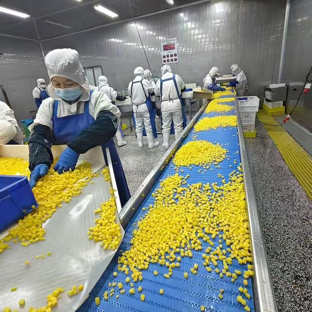 sell china factory IQF Yellow Peach Dices Frozen Peach Dices guohai foods frozen fruits - Image 5