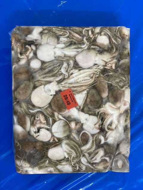 FROZEN OCTOPUS WHOLE - Image 1