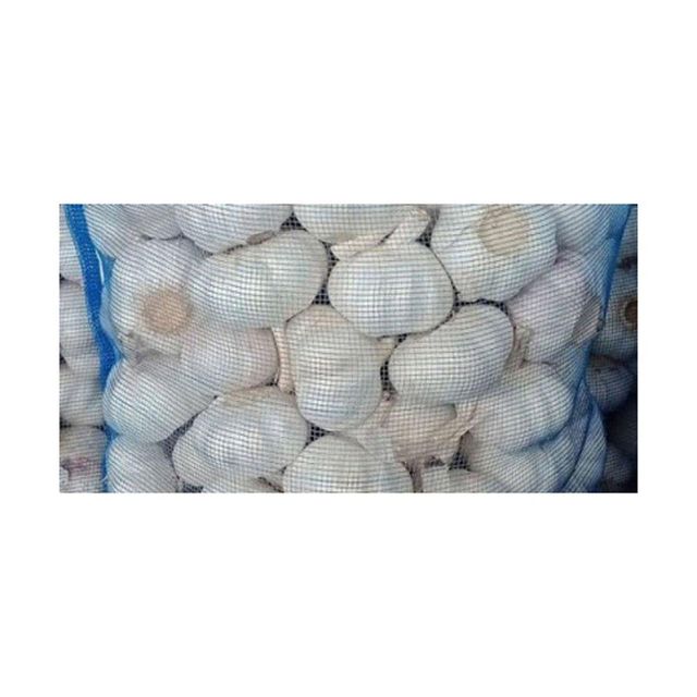 Wholesale Fresh Garlic packed in mesh bags and cartons for easy handling - Image 2