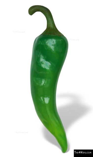 Top Grade Fresh Green Chili Wholesale Stock With Reliable Supply - Image 4