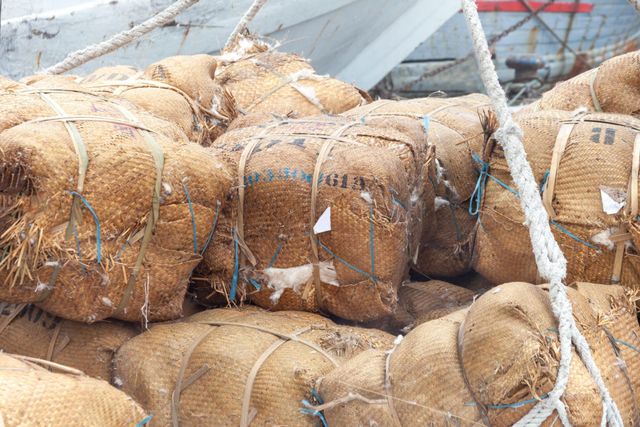 Cotton Hulls for Sale wholesale - Image 1