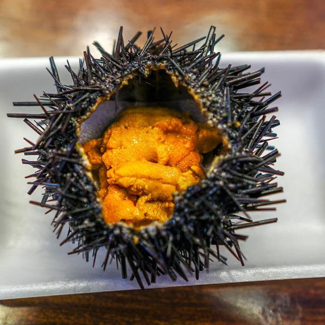 Natural Wild Caught Sea Urchin Roe Sushi Grade Fresh and Frozen Bulk Supply Global Export Seafood Company - Image 4