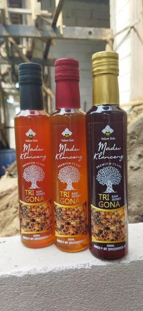 Premium Indonesian Trigona Stingless Bee Honey - Image 3
