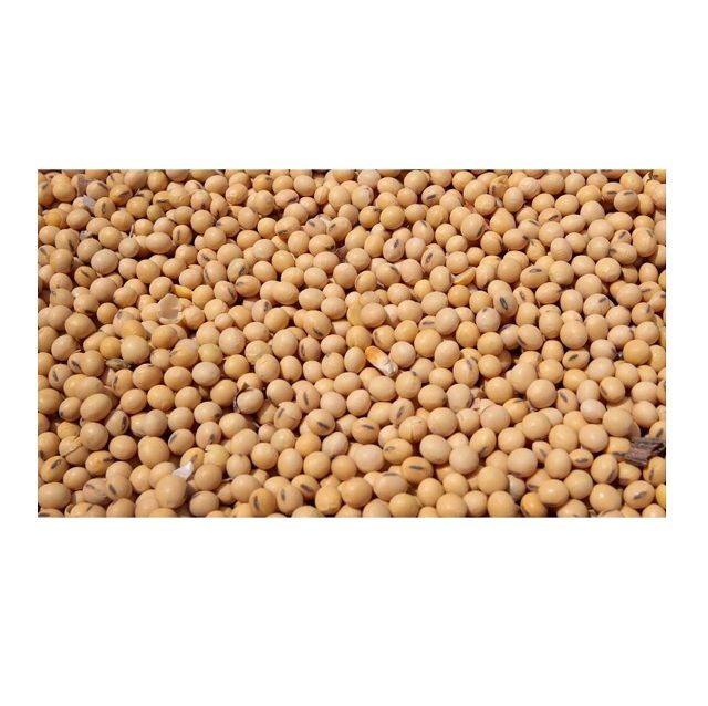 High Protein Quality Soybean Meal / Soya Bean Meal for Animal Feed /Top Quality Organic Soybean meal 42% Protein - Image 1