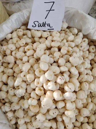 SnowLotus Fox Nuts (Perfect for 7 Sutra & 6 Sutra grades) Size 21 mm Purity High Color Clean, White Moisture Content Low - Image 3