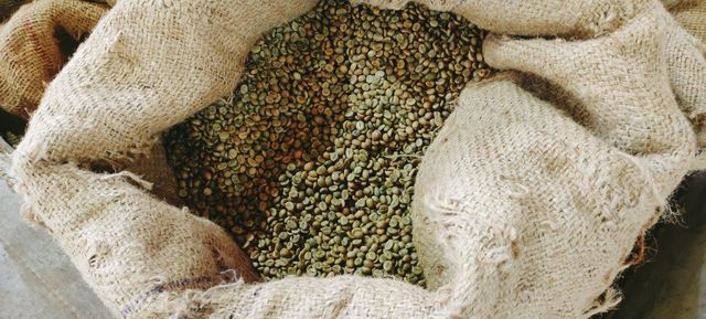 SC 17- 19 Indian Arabica and Robusta Green Coffee Beans - Image 3