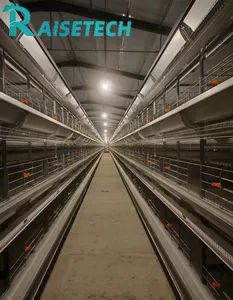 Advanced High-Accuracy Tools for Automatic Chicken Farm Management - Image 5