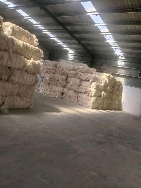 Premium Grade Kenyan Sisal Fiber for Export High-Quality Natural Sisal Fiber from Kenya Kenya Export Quality Sisal Fiber for Industrial Use Raw Sisal Fiber for Sale – Kenya Export Supplier Natural Kenyan Sisal Fiber for Rope, Carpet & Crafts Bulk Sisal Fiber Export from Kenya Processed Sisal Fiber from Kenya for International Markets Eco-Friendly Sisal Fiber Supplier in Kenya Long Fiber Kenyan Sisal for Agricultural and Industrial Applications Top Grade Sisal Fiber for Export Worldwide from Kenya - Image 3