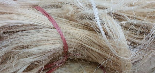 Polylactic Acid Eco-Friendly Sisal Fibre (25mm-100mm 1.5D-6D) for Spinning and Concrete Applications - Image 4