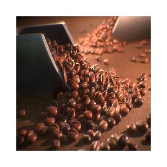Robusta coffee beans with strong bold taste high caffeine content and deep flavor ideal for espresso blends instant coffee production and commercial use with reliable supply consistent grading and durable packaging for export markets - Image 5