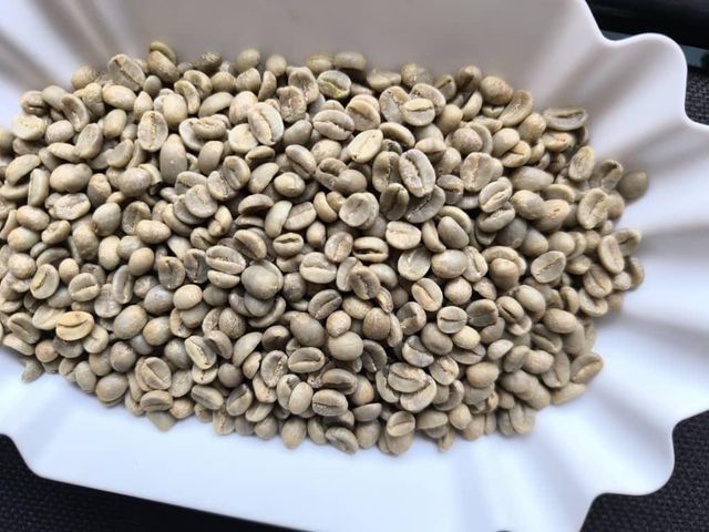 Burundi Arabica Green Coffee - Image 3