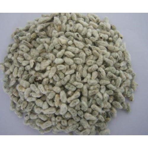 Cotton Seed Hull - Cotton Seed Waste Latest Price, Manufacturers - Image 3