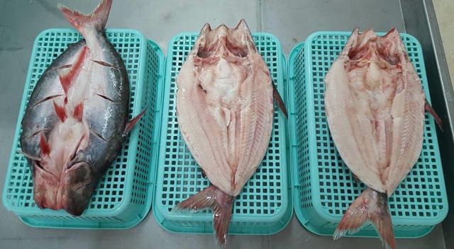 100% High quality Frozen Pangasius Fillet/ Steak/ Cube/ Butterfly origin Vietnam - Image 2
