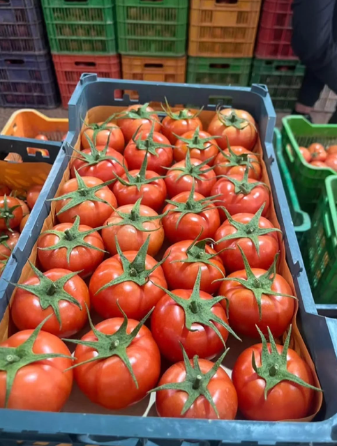 Uniform Size,Rich flavor, and Extended Freshness Cherry Tomatoes 250g,15kg Premium Fresh Edible Cherry Tomatoes - Image 4