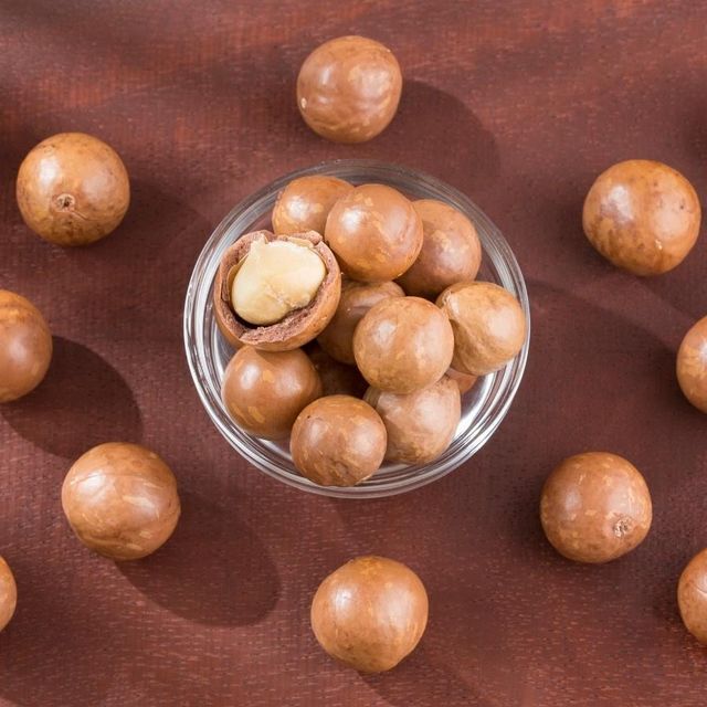 Premium Quality Crunchy Salted Roasted Cashews W240 500g Raw Processed from Vietnam Common Cultivation Type Packed in Pet Jar - Image 5