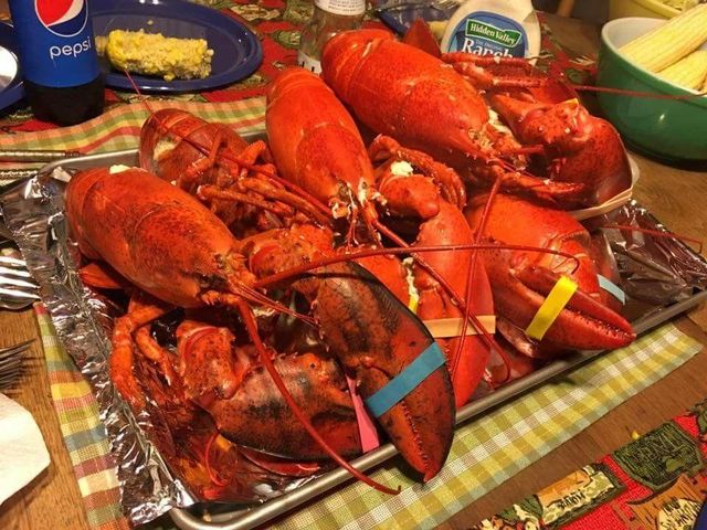 High Quality Pure Fresh/Frozen American Lobsters (Seafood) Whole Vacuum Pack 100-800g Sizes 4cm 24 Months Shelf Life Che - Image 3