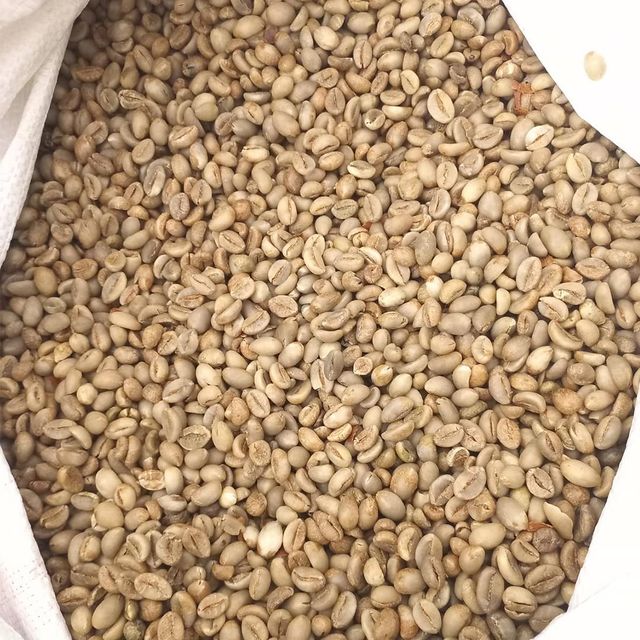 Indonesia Lampung Robusta Green Coffee Beans - Image 1