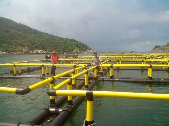 Fish Farming Cage Net HDPE Fishing Net Shape Round Condition New Trademark Souther Material HDPE Pipe HS Code - Image 2