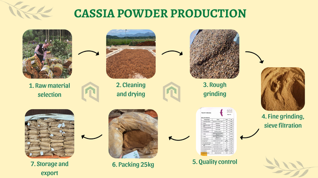 POWDER CASSIA / CINNAMON POWDER / CINNAMON CASSIA - Image 4