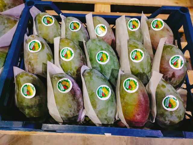 Fresh Mango Organic Yes Origin Egypt Degree of Processing Frozen Degree Of Maturity Mature, Semi-Ripe, Unripe - Image 4