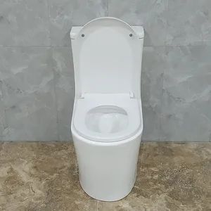 Small Size Eddy Siphonic One Piece Toilet New Design Bathroom CE Wc Commode - Image 6