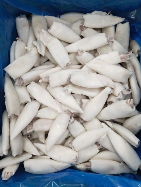 Squid Whole Freshness Level Frozen Features No Artificial Flavors - Image 3
