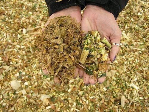 Livestock, Meat, Maize (Corn) / Corn Silage, Lucerne (Alfalfa), Wheat Bran, Wheat Straw, Rice Straw, Rice Husk, Sugar C - Image 4