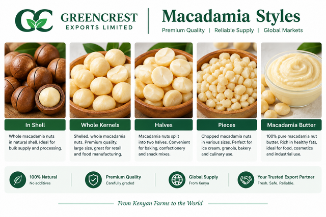 Premium Macadamia Nuts - Image 2