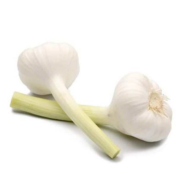 Fresh Garlic Direct From Farm Fresh Garlic Packed Carefully For Wholesale And Fresh Garlic Supply In Bulk - Image 4
