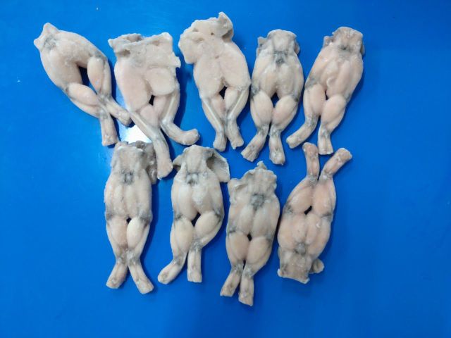 Best product Vietnam Frozen Frog Leg bulk packing/ vacuum packing - Image 4