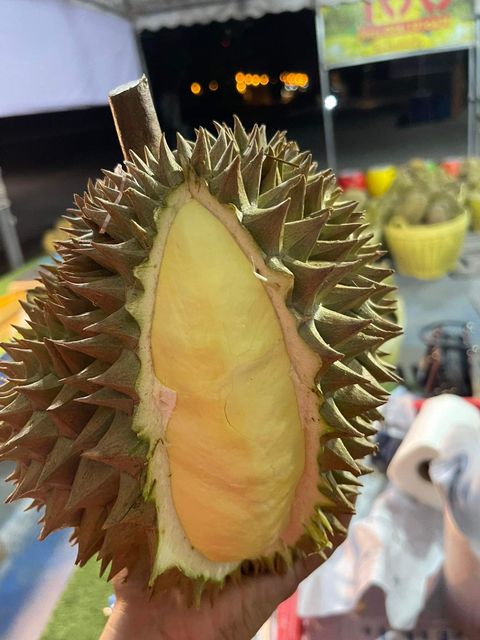 Whole Durian Mon Thong Premium Fresh Organic King of Fruits Original Taste From Thailand Rich & Creamy 3-4 PCS/BOX (Whole) - Image 4