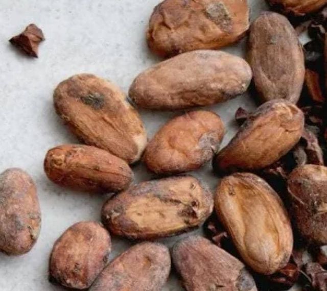 Dried Fermented Cocoa Beans - Image 3