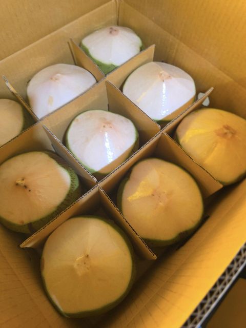 Fresh Coconut - Image 3