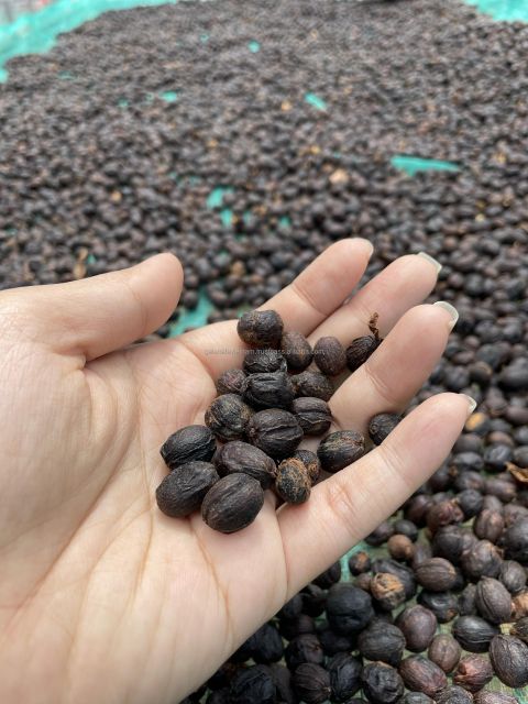Green Robusta Coffee Beans specialty Fine Robusta in Anaerobic Natural Process Vietnamese New Crop 2023-2024 – product photo 4, product detail gallery