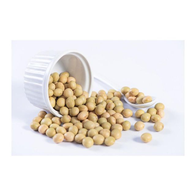 Premium Brazilian Soybeans frozenchickenexports.com - Image 2