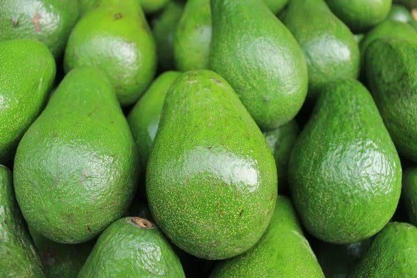 Fresh Hass Avocado Supplier & Exporter | Premium Wholesale Export Quality Avocados - Image 6