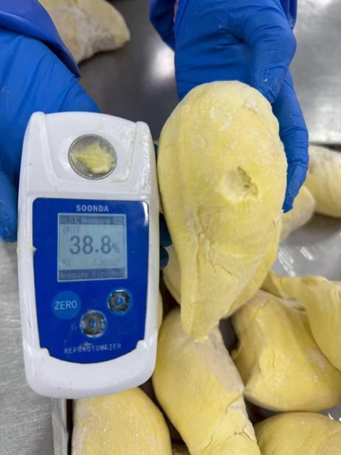 Frozen Monthong Durian, Grade A (with Seed) – product photo 1, product detail gallery