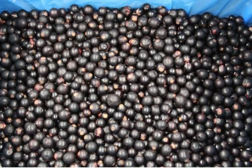 Frozen Black currant - Image 1