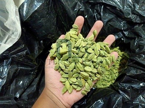 Green Cardamom - Fresh – product photo 4, product detail gallery